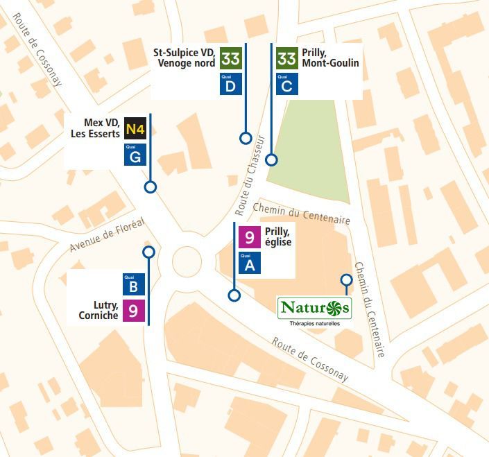 [Image of Plang vum Accès an ëffentlechen Transport]